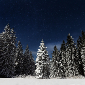 最近日韩中文字幕
